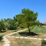 Dimitra 2 - Seaside 아파트 *