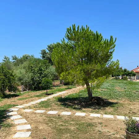 Dimitra 2 - Seaside Appartamento *